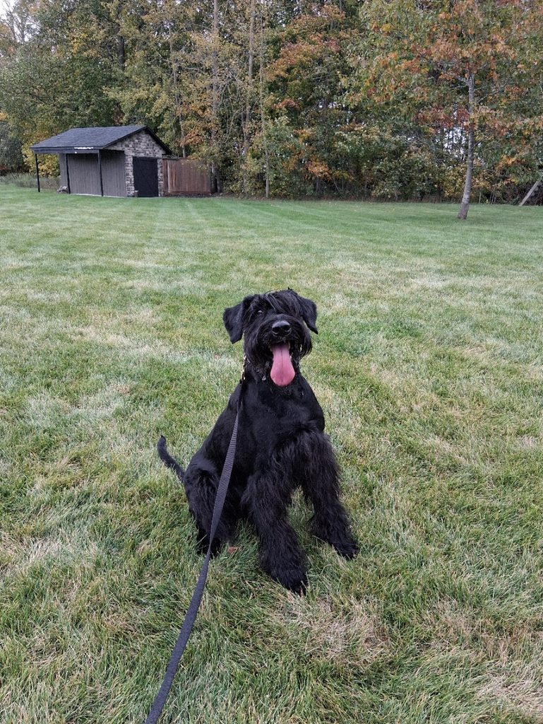 Happy, handsome boy, Axel