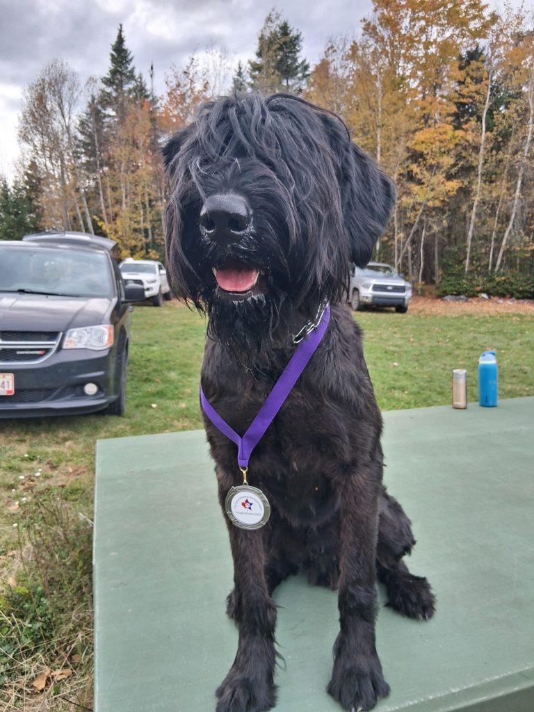 Rommel with his BH medallion